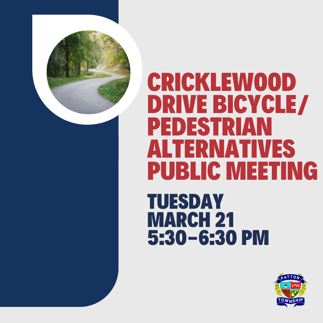 Patton Township Social (16)